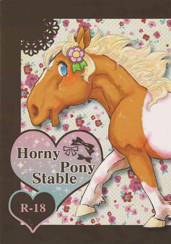 horny pony stable cover