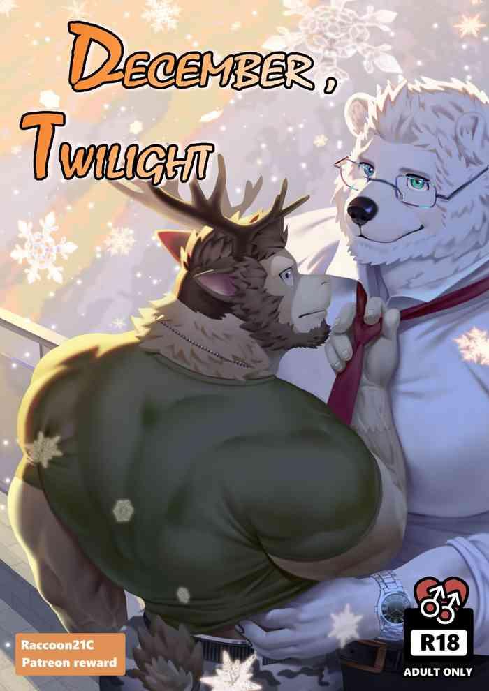 december twilight cover