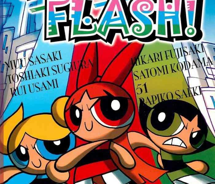 ppg flash cover