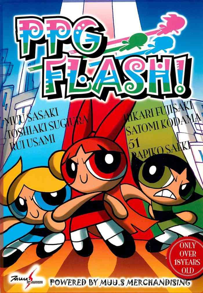 ppg flash cover