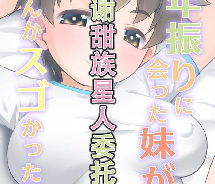 ichinen buri ni atta imouto ga nanka sugokatta ken cover